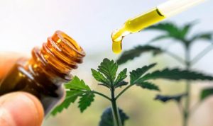 cuanta cantidad de cbd puedo tomar