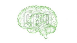 CBD tratamiento sindrome de Dravet