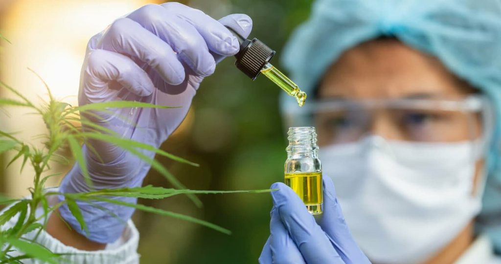 cbd ciencia